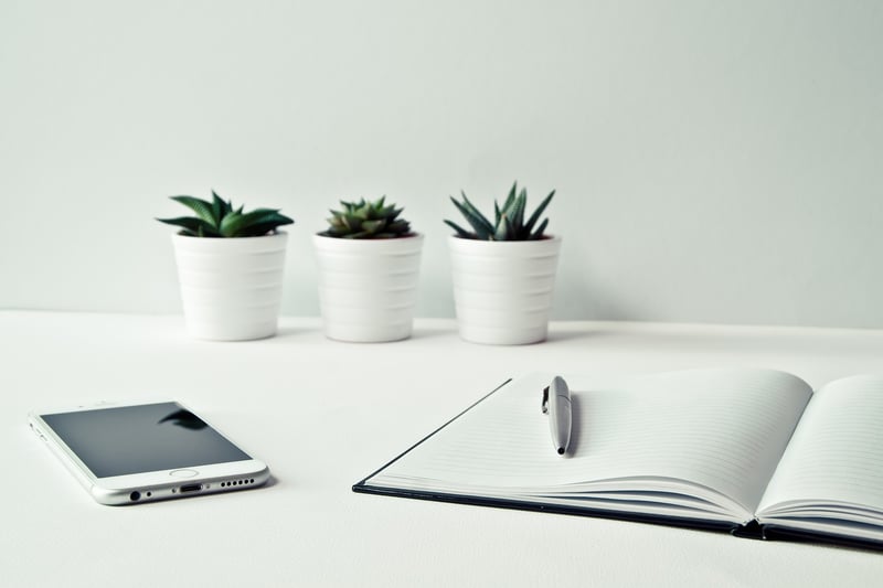 Expert Interviews
